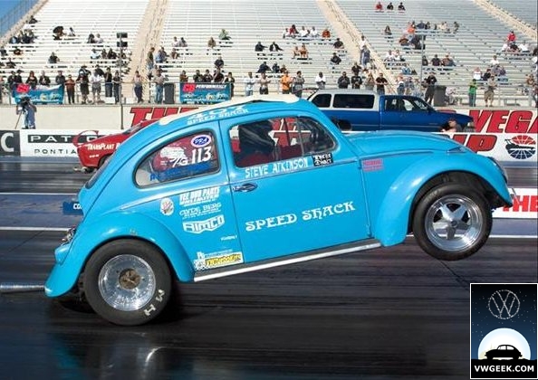 drag-beetle-blue.jpg